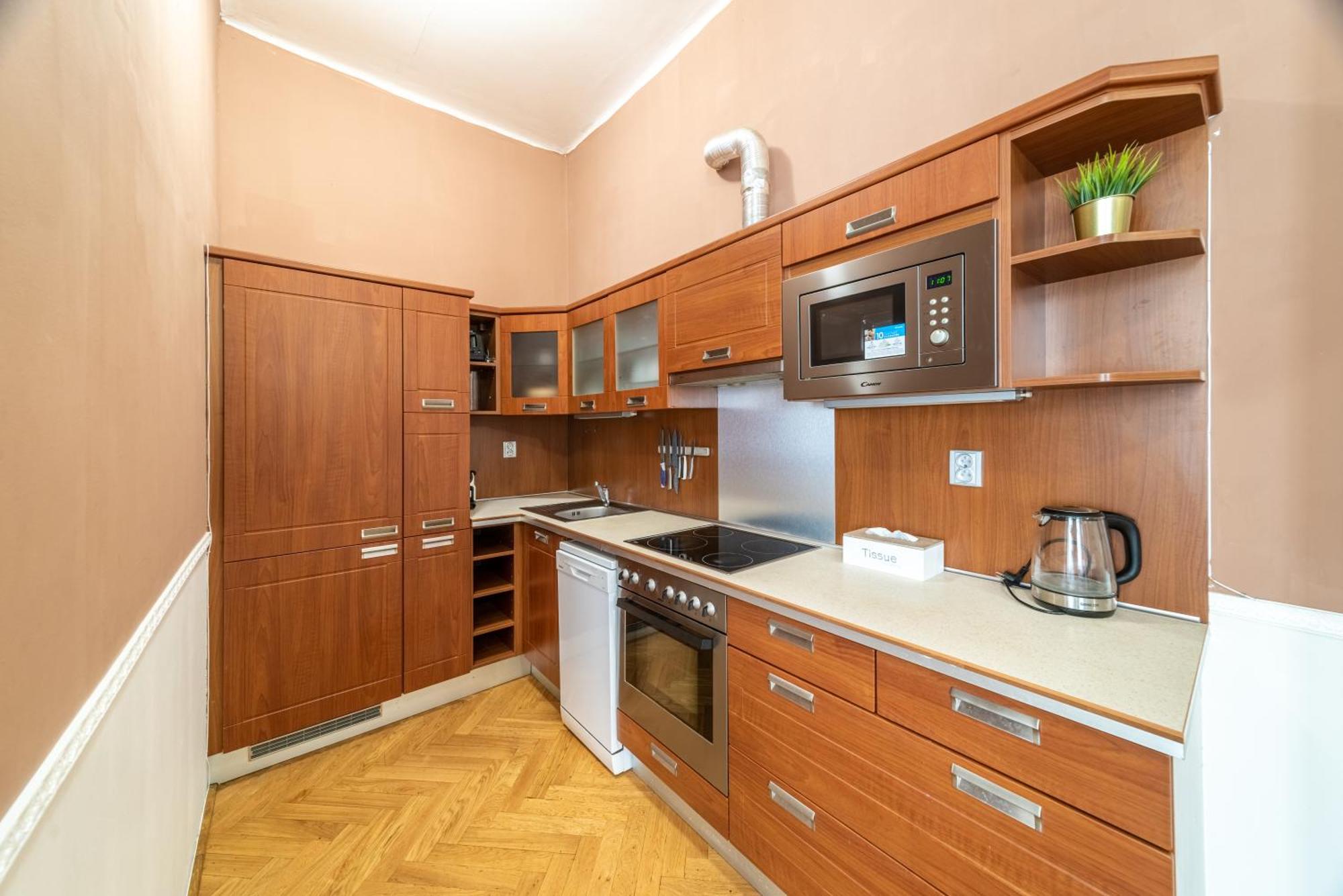 Large аpartment In The Center Of Prague.