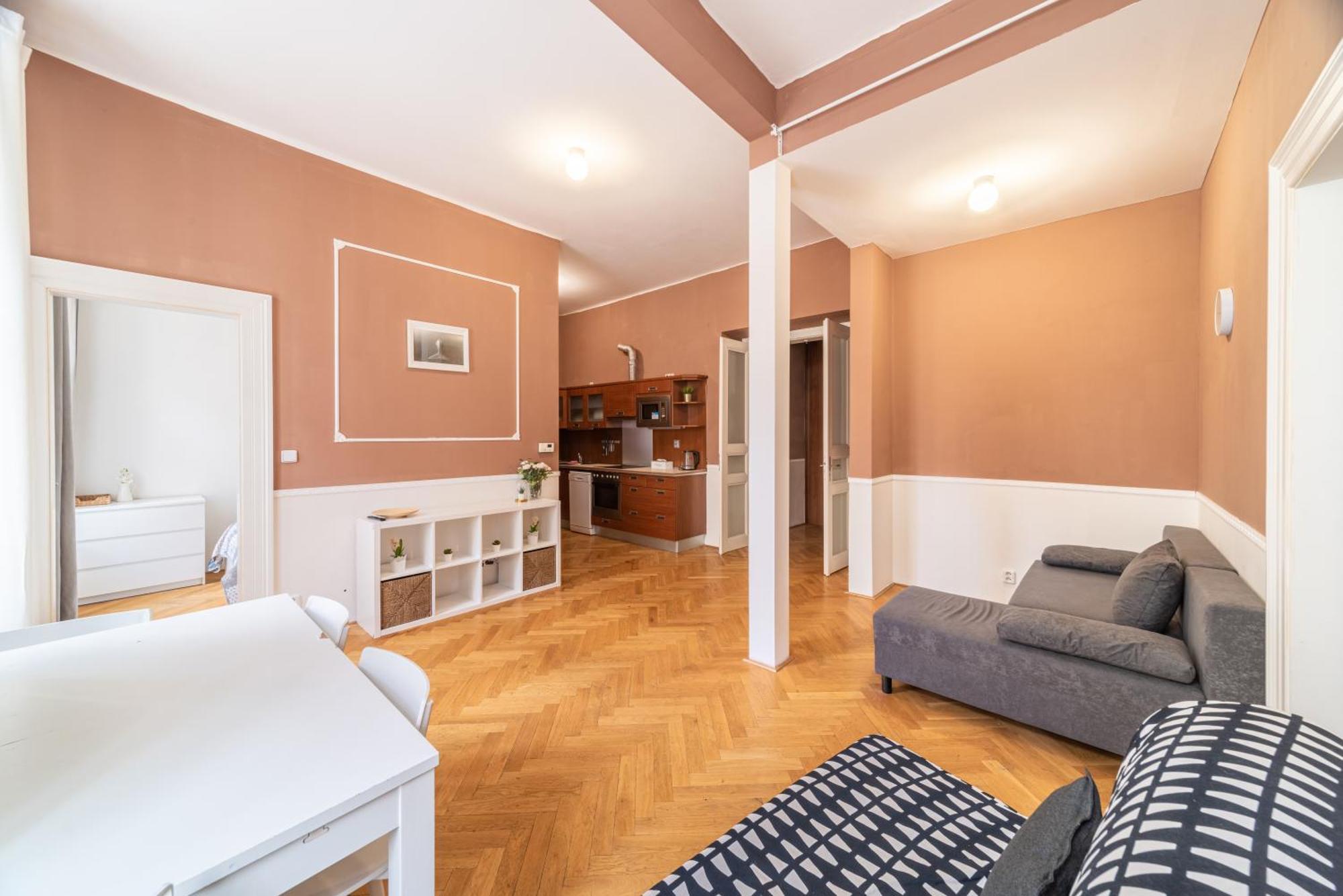 Appartamento Large аpartment In The Center Of Prague.
