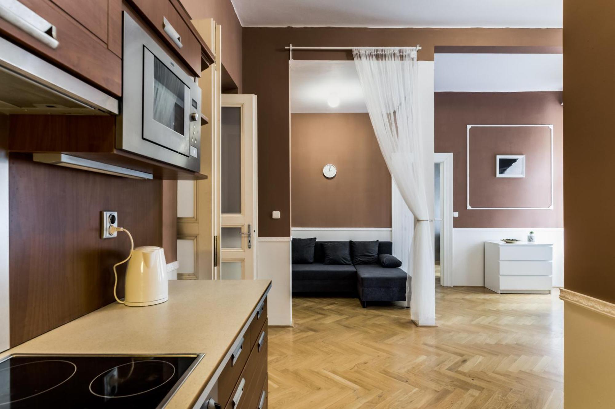 Large аpartment In The Center Of Prague. Praga