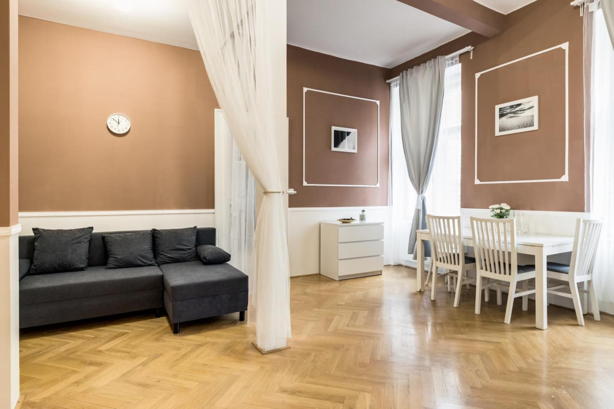 Large аpartment In The Center Of Prague. * Praga