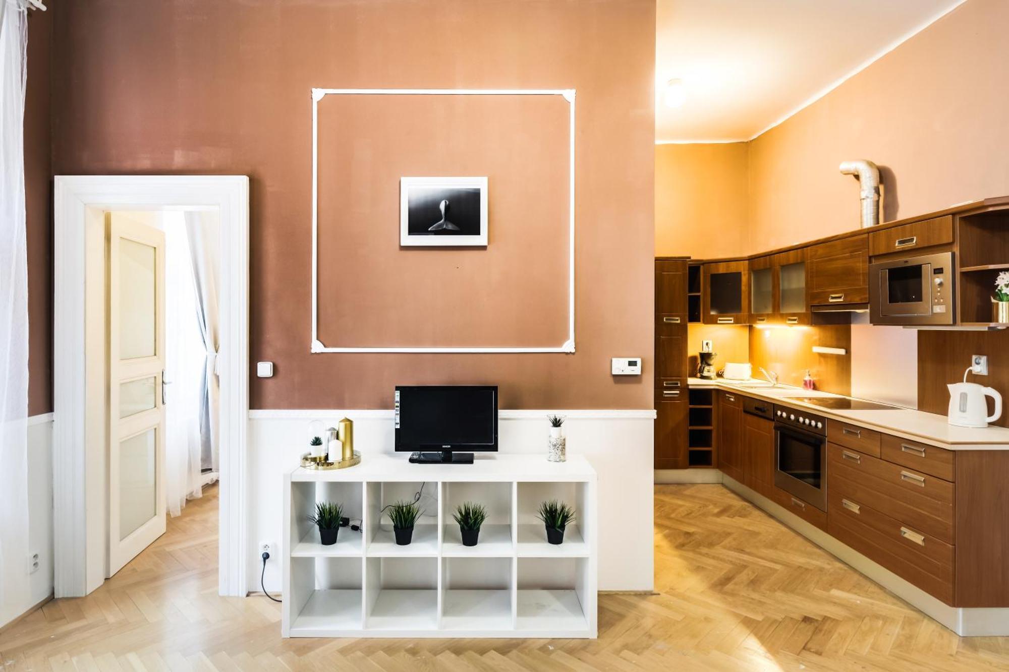 Large аpartment In The Center Of Prague. Apartment Prague