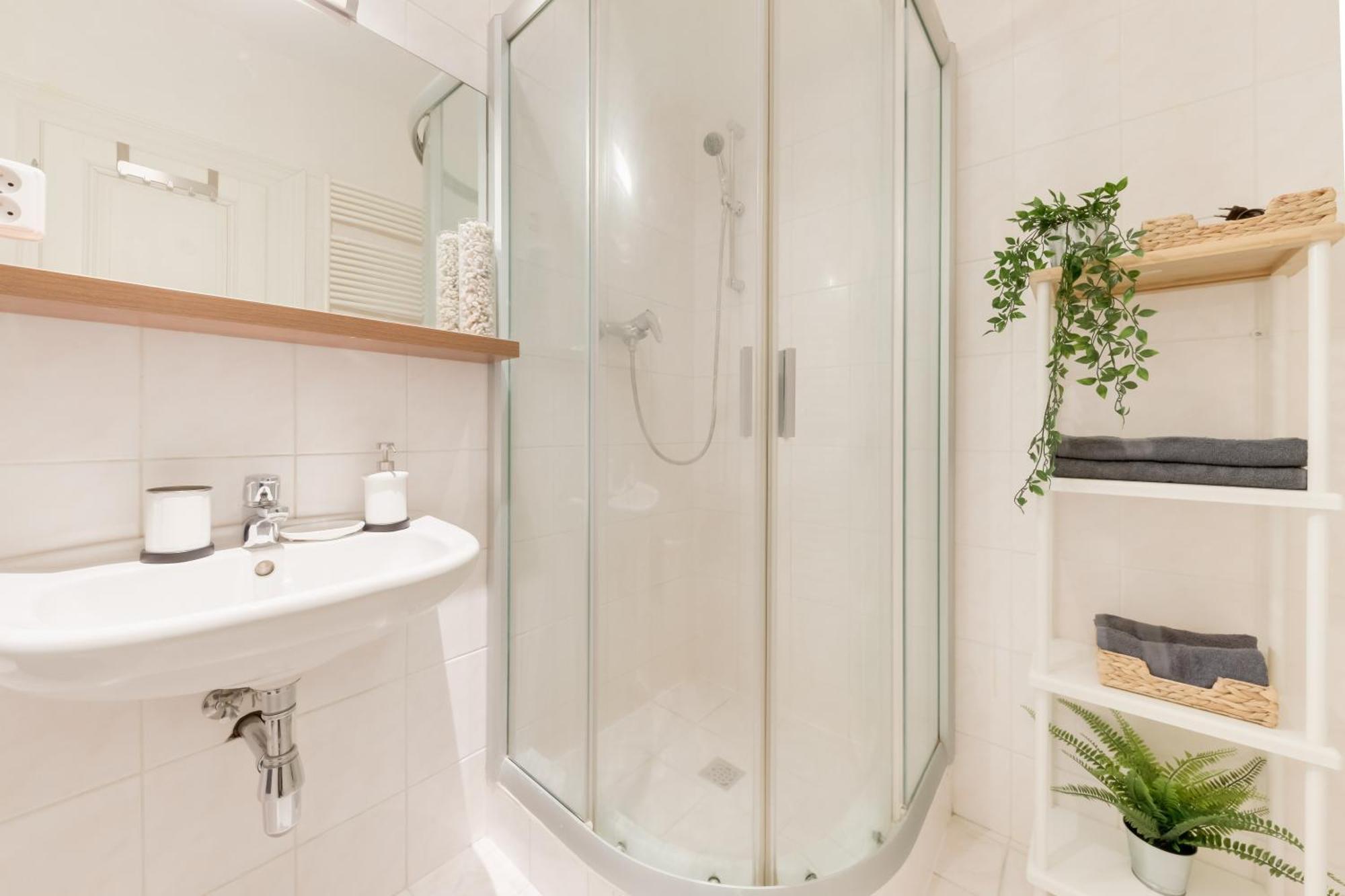 Large аpartment In The Center Of Prague. Apartment Prague